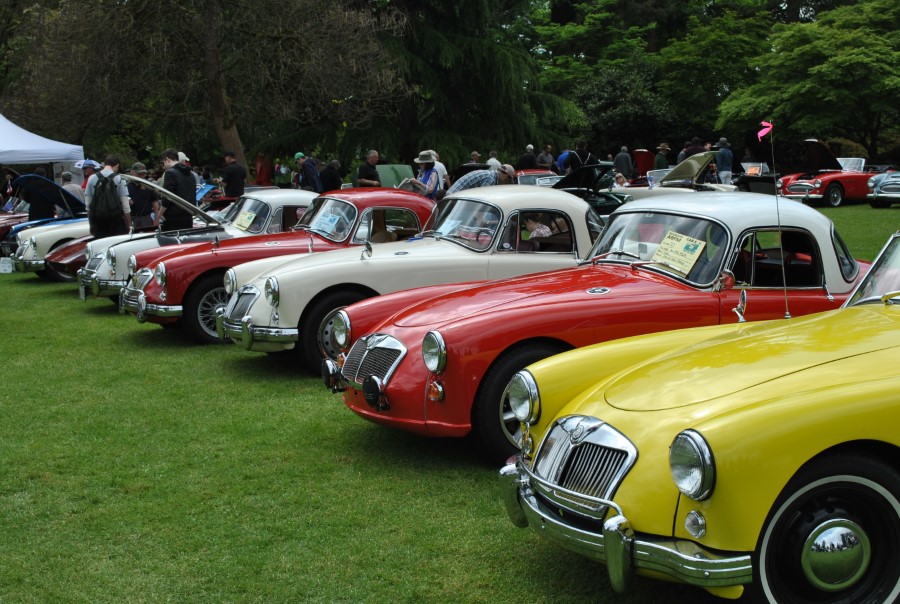 Slideshow Image