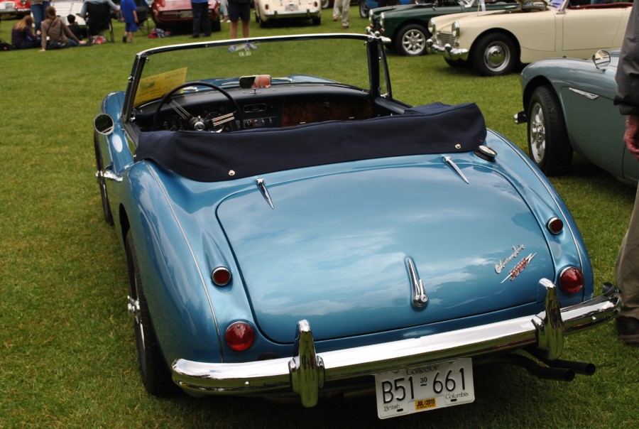 Slideshow Image