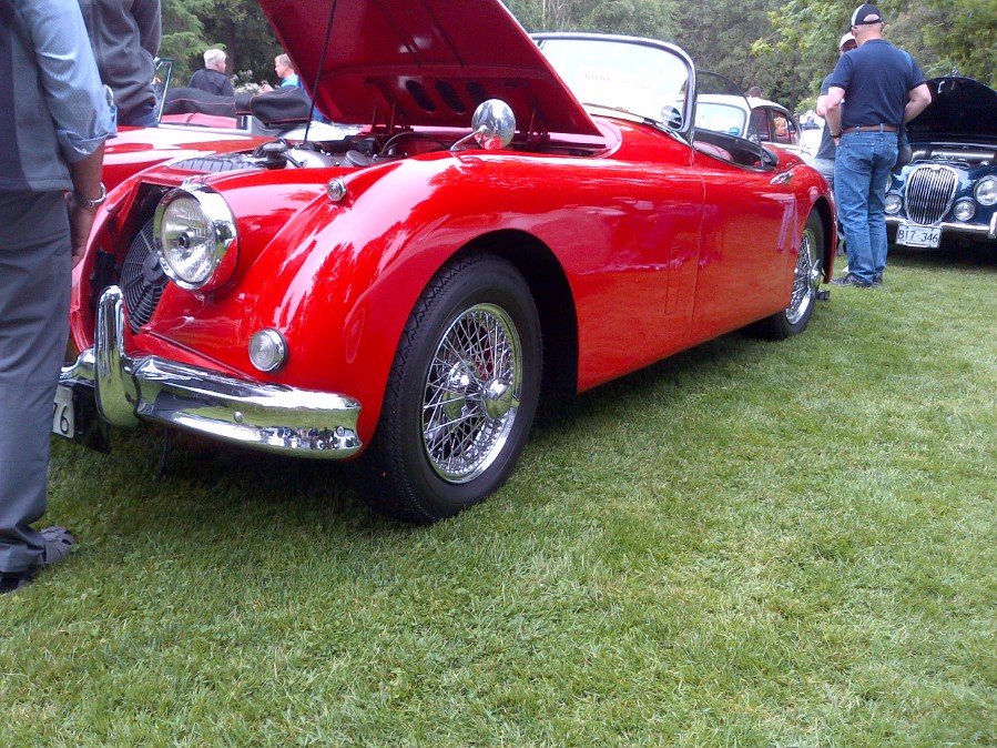 Slideshow Image