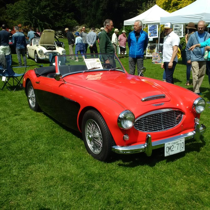 Slideshow Image